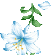 violetvine