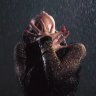 Fluidmotion